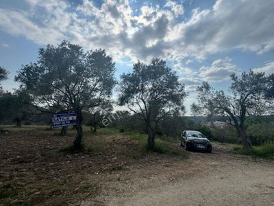 Arsa-Tarla