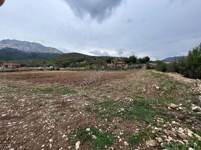 Arsa-Tarla