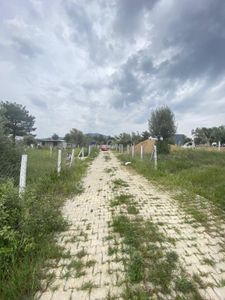 Arsa-Bağ & Bahçe