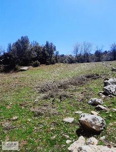 Arsa-Tarla