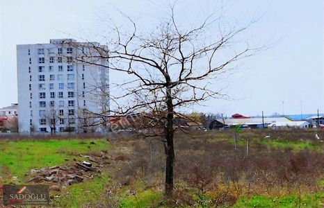 Arsa-Konut İmarlı