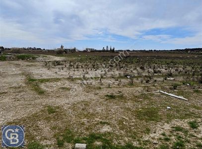 Arsa-Konut İmarlı