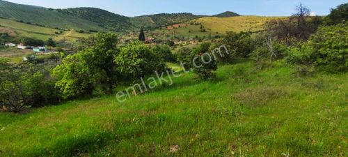Arsa-Tarla