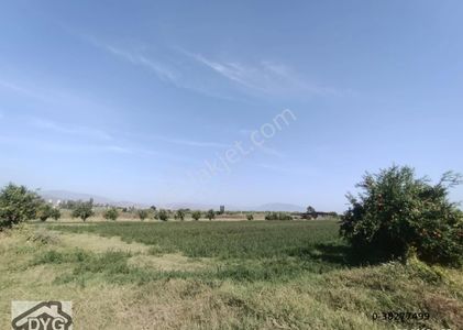 Arsa-Tarla
