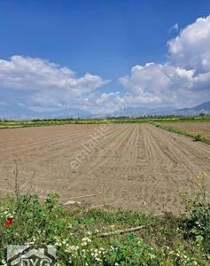 Arsa-Tarla