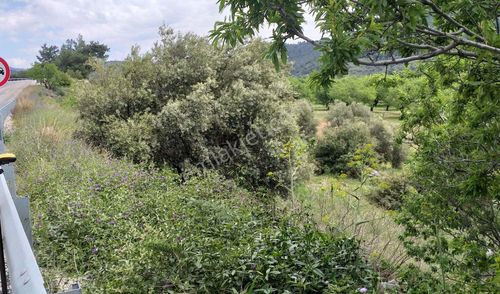 Arsa-Tarla