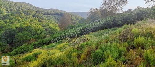 Arsa-Konut İmarlı