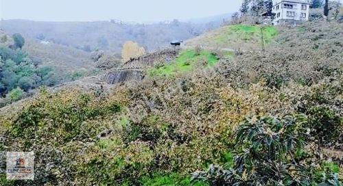 Arsa-Villa İmarlı