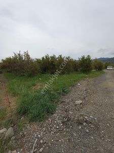 Arsa-Konut İmarlı