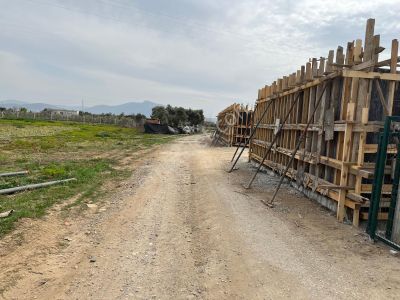 Arsa-Bağ & Bahçe