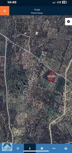Arsa-Zeytinlik