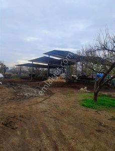 Konut-Çiftlik Evi