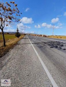 Arsa-Tarla