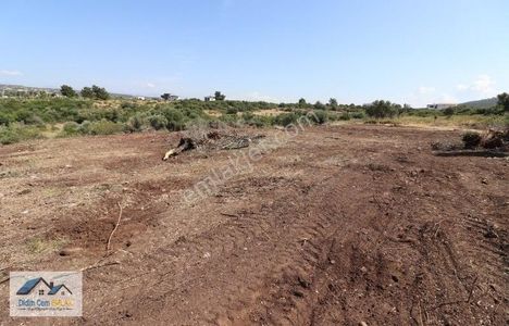 Arsa-Konut İmarlı