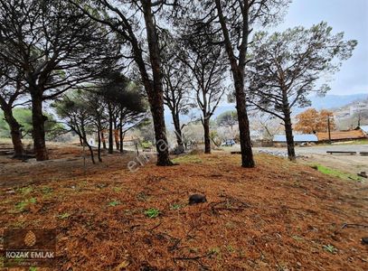 Arsa-Villa İmarlı