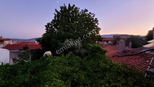 Konut-Müstakil Ev