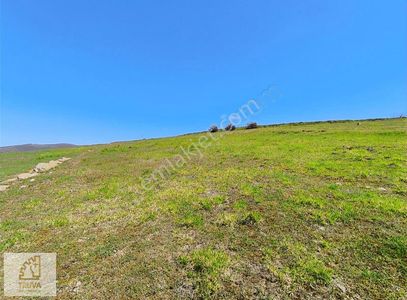 Arsa-Tarla