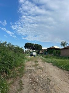 Konut-Köy Evi
