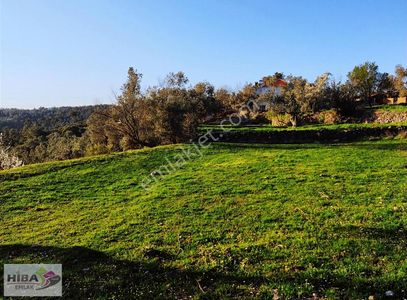 Arsa-Konut İmarlı