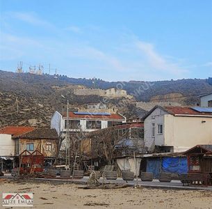 Arsa-Zeytinlik