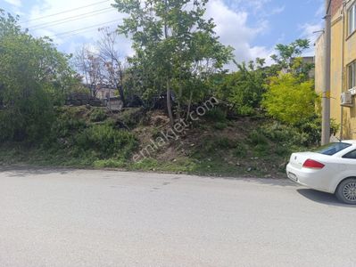 Arsa-Konut İmarlı
