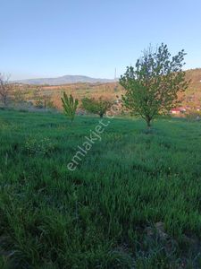 Arsa-Tarla