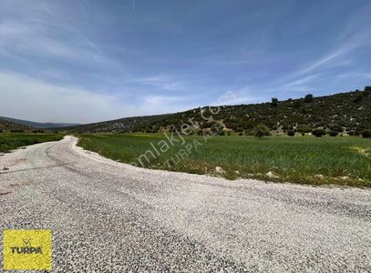 Arsa-Tarla