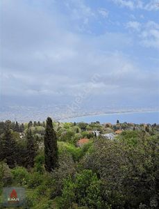 Arsa-Özel Kullanım