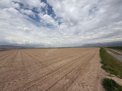 Arsa-Tarla