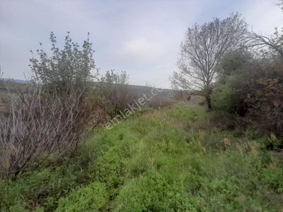 Arsa-Tarla