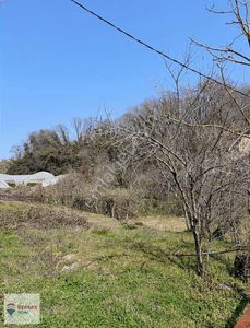 Arsa-Villa İmarlı