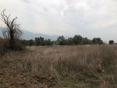 Arsa-Tarla