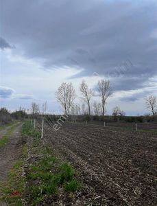 Arsa-Tarla