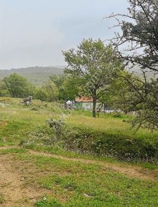 Arsa-Tarla