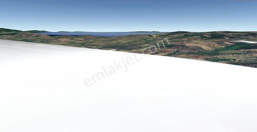 Arsa-Zeytinlik