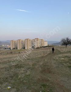 Arsa-Tarla