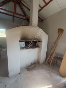 Arsa-Zeytinlik