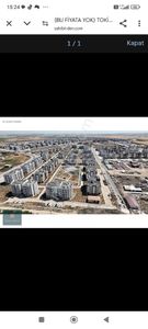 Arsa-Arazi