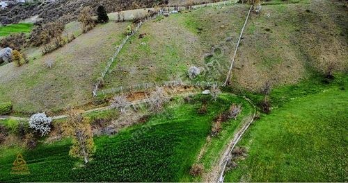 Arsa-Bağ & Bahçe