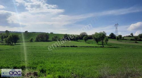 Arsa-Tarla