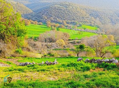 Arsa-Konut İmarlı