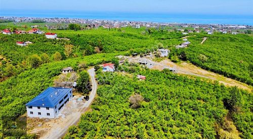 Arsa-Konut İmarlı