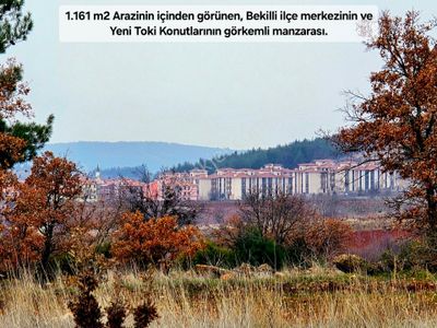Arsa-Tarla