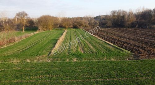 Arsa-Tarla