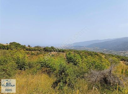 Arsa-Konut İmarlı
