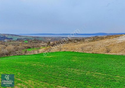 Arsa-Tarla