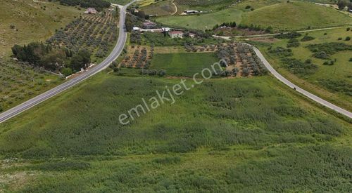 Arsa-Depo, Antrepo İzinli