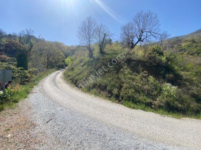 Arsa-Depo, Antrepo İzinli