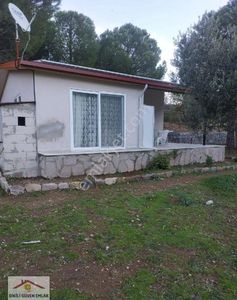 Konut-Çiftlik Evi
