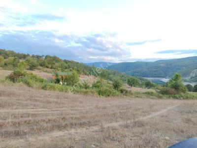 Arsa-Tarla